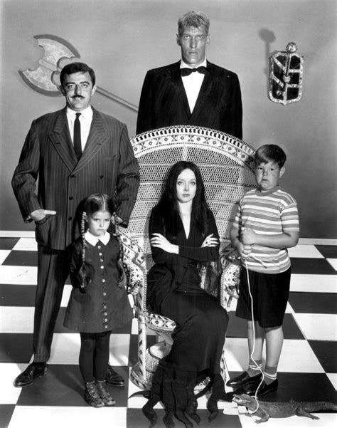 addams family wiki|who owns addams family.